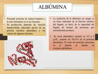 ALBÚMINA
• Principal proteína de síntesis hepática y
la más abundante en el ser humano.
• Su producción depende de: función
hepatocelular, adecuado aporte de aa,
presión oncótica plasmática y los
valores de algunas citocinas.
• La medición de la albúmina en sangre es
un buen indicador de la función sintética
del hígado, es decir, de la capacidad del
hígado de formar las proteínas que
normalmente produce.
• Su nivel plasmático normal es 3,5 a 5
g/dL, supone un 54,31% de la proteína
plasmática. El resto de proteínas presentes
en el plasma se llaman en
conjunto globulinas.
 