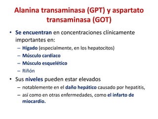 Alanina transaminasa (GPT) y aspartato
transaminasa (GOT)
• Se encuentran en concentraciones clínicamente
importantes en:
–
–
–
–

Hígado (especialmente, en los hepatocitos)
Músculo cardíaco
Músculo esquelético
Riñón

• Sus niveles pueden estar elevados
– notablemente en el daño hepático causado por hepatitis,
– así como en otras enfermedades, como el infarto de
miocardio.

 