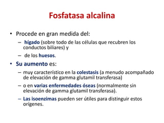 Fosfatasa alcalina
• Procede en gran medida del:
– hígado (sobre todo de las células que recubren los
conductos biliares) y
– de los huesos.

• Su aumento es:
– muy característico en la colestasis (a menudo acompañado
de elevación de gamma glutamil transferasa)
– o en varias enfermedades óseas (normalmente sin
elevación de gamma glutamil transferasa).
– Las isoenzimas pueden ser útiles para distinguir estos
orígenes.

 