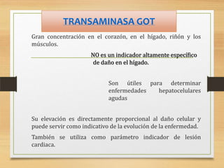 TRANSAMINASA GOT
Gran concentración en el corazón, en el hígado, riñón y los
músculos.
NO es un indicador altamente específico
de daño en el hígado.

Son útiles para determinar
enfermedades
hepatocelulares
agudas
Su elevación es directamente proporcional al daño celular y
puede servir como indicativo de la evolución de la enfermedad.
También se utiliza como parámetro indicador de lesión
cardiaca.

 