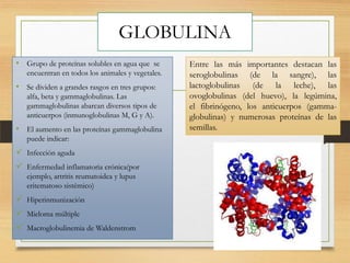 GLOBULINA
• Grupo de proteínas solubles en agua que se
encuentran en todos los animales y vegetales.

• Se dividen a grandes rasgos en tres grupos:
alfa, beta y gammaglobulinas. Las
gammaglobulinas abarcan diversos tipos de
anticuerpos (inmunoglobulinas M, G y A).

• El aumento en las proteínas gammaglobulina
puede indicar:

 Infección aguda
 Enfermedad inflamatoria crónica(por
ejemplo, artritis reumatoidea y lupus
eritematoso sistémico)

 Hiperinmunización
 Mieloma múltiple
 Macroglobulinemia de Waldenstrom

Entre las más importantes destacan las
seroglobulinas (de la sangre), las
lactoglobulinas (de la leche), las
ovoglobulinas (del huevo), la legúmina,
el fibrinógeno, los anticuerpos (gammaglobulinas) y numerosas proteínas de las
semillas.

 