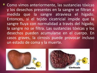 Como vimos anteriormente, las sustancias tóxicas
y los desechos presentes en la sangre se filtran a
medida que la sangre atraviesa el hígado.
Entonces, si el tejido cicatricial impide que la
sangre fluya con normalidad a través del hígado,
la sangre no se filtra. Las sustancias tóxicas y los
desechos pueden acumularse en el cuerpo. En
casos graves, la cirrosis puede provocar incluso
un estado de coma y la muerte.
 