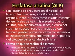 Esta enzima se encuentra en el hígado, los
huesos, los intestinos, los riñones y otros
órganos. Tanto los niños como los adolescentes
tienen niveles de ALP más elevados que los
adultos, aún cuando están sanos, a causa del
crecimiento óseo. Pero los niveles de ALP
también pueden aumentar como consecuencia
de infecciones virales, enfermedades hepáticas
y el bloqueo de los conductos biliares.
Forma en que se realiza el examen:
Se necesita una muestra de sangre. La mayoría de las veces,
la sangre se extrae de una vena localizada en la parte
interior del codo o el dorso de la mano.
 