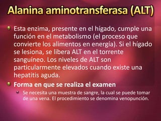Esta enzima, presente en el hígado, cumple una
función en el metabolismo (el proceso que
convierte los alimentos en energía). Si el hígado
se lesiona, se libera ALT en el torrente
sanguíneo. Los niveles de ALT son
particularmente elevados cuando existe una
hepatitis aguda.
Forma en que se realiza el examen
Se necesita una muestra de sangre, la cual se puede tomar
de una vena. El procedimiento se denomina venopunción.
 