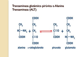Transaminasa glutàmico pirùvica o AlaninaTransaminasa glutàmico pirùvica o Alanina
Transaminasa (ALT)Transaminasa (ALT)
 