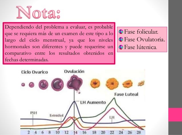 Perfil hormonal