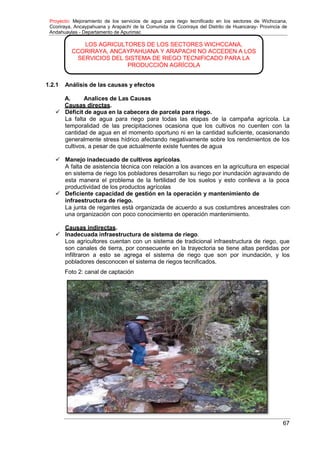 Proyecto: Mejoramiento de los servicios de agua para riego tecnificado en los sectores de Wichccana,
Ccoriraya, Ancaypahuana y Arapachi de la Comunida de Ccoriraya del Distrito de Huancaray- Provincia de
Andahuaylas - Departamento de Apurimac
67
1.2.1 Análisis de las causas y efectos
A. Analices de Las Causas
Causas directas.
 Déficit de agua en la cabecera de parcela para riego.
La falta de agua para riego para todas las etapas de la campaña agrícola. La
temporalidad de las precipitaciones ocasiona que los cultivos no cuenten con la
cantidad de agua en el momento oportuno ni en la cantidad suficiente, ocasionando
generalmente stress hídrico afectando negativamente sobre los rendimientos de los
cultivos, a pesar de que actualmente existe fuentes de agua
 Manejo inadecuado de cultivos agrícolas.
A falta de asistencia técnica con relación a los avances en la agricultura en especial
en sistema de riego los pobladores desarrollan su riego por inundación agravando de
esta manera el problema de la fertilidad de los suelos y esto conlleva a la poca
productividad de los productos agrícolas
 Deficiente capacidad de gestión en la operación y mantenimiento de
infraestructura de riego.
La junta de regantes está organizada de acuerdo a sus costumbres ancestrales con
una organización con poco conocimiento en operación mantenimiento.
Causas indirectas.
 Inadecuada infraestructura de sistema de riego.
Los agricultores cuentan con un sistema de tradicional infraestructura de riego, que
son canales de tierra, por consecuente en la trayectoria se tiene altas perdidas por
infiltraron a esto se agrega el sistema de riego que son por inundación, y los
pobladores desconocen el sistema de riegos tecnificados.
Foto 2: canal de captación
LOS AGRICULTORES DE LOS SECTORES WICHCCANA,
CCORIRAYA, ANCAYPAHUANA Y ARAPACHI NO ACCEDEN A LOS
SERVICIOS DEL SISTEMA DE RIEGO TECNIFICADO PARA LA
PRODUCCIÓN AGRÍCOLA
 