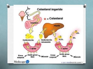 Perfil lipidico