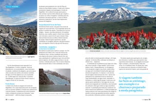 Turismo Patagônia

localizados principalmente em volta da Plaza de
Armas ou Praça Muñoz Gamero. É onde está o famoso
monumento erguido em homenagem a Fernão de
Magalhães. Diz a cultura local que quem passa a
mão ou beija os pés do índio selknam que compõe a
escultura vai voltar à Patagônia. Caminhar pela orla
marítima é um passeio gostoso. A visita ao Museu
Salesiano é imperdível, um dos mais importantes
museus da Patagônia.

Parque Nacional Torres del Paine

Partindo de Punta Arenas, são quase cinco horas de
viagem até Torres del Paine. Ficar hospedado dentro do
parque é a melhor das opções. Uma delas leva você aos
refúgios – baratos, mas desconfortáveis. Há também
hosterias, mas a melhor opção é o hotel cinco estrelas
com vista para o nascer do sol e para o maciço Paine.
Estar próximo de todas as trilhas e belezas naturais
do parque, dispor de guias experientes, spa póscaminhada ou cavalgada, palestras, alta gastronomia e
luxo, são daquelas coisas na vida que não têm preço.

Caminhadas, cavalgadas e
o churrasco no Quincho

Pequena pausa no percurso para apreciar o Lago Fagnano,
suas pedras e troncos retorcidos

São muitas as opções para explorar o parque, em 250
quilômetros de trilhas com a vista dos maciços da
cordilheira Paine. Há duas expedições que partem
com objetivo de avistar o famoso Glaciar Grey: por
uma caminhada de 12 quilômetros que o leva até bem
perto do glaciar, de onde se pega um barco e vai até
sua base, voltando pela praia. Para os menos dispostos,
uma travessia de barco e uma caminhada curta até a

Um dos desembarques mais esperados é na
Ilha Magdalena. O motivo: pinguins. Antes de
desembarcar, as recomendações: como estávamos
invadindo o ambiente dos pinguins, que nesta época
estão cavando seus ninhos, deveríamos caminhar
devagar e de forma alguma tocá-los ou perturbálos. A trilha segue até o farol da ilha. O próximo
desembarque, no porto de Punta Arenas, encerra a
viagem a bordo do Via Australis.

Punta Arenas

A cidade está situada às margens do Estreito de
Magalhães e foi o mais importante porto de navegação
entre os Oceanos Atlântico e Pacífico até a abertura do
Canal do Panamá. A arquitetura do centro histórico
reflete a influência europeia nas chamadas “casas
patrimoniales”, edifícios antigos restaurados,

32

PERFILNÁUTICO

Com um bote inflável é possível chegar perto do Glaciar Piloto

Cores da Senda dos Aonikenk revela o contraste colorido das flores da região e o branco do gelo que cobre as montanhas

praia de onde se avistam grandes icebergs e, de longe,
o glaciar. Ao fim da trilha, embarque em direção ao
Glaciar Grey – majestoso.
A caminhada de 18 quilômetros que segue até a base
das torres é puxada. Longas subidas, ventos fortes
pedras e barro. Inesperadamente, as três gigantes
torres de granito surgem à sua frente, abaixo delas,
um lago azul-esverdeado formado pelas águas que
derretem dos glaciares. O conjunto é, sem dúvida,
um dos lugares mais formosos da Terra. Apenas seis
quilômetros de caminhada levam ao mirante do
Lago Nordenskjold e sua água verde-esmeralda. O
Sarmiento é o maior lago do parque. O percurso é de
apenas quatro quilômetros. Suas águas de um azul
intenso são margeadas por trombolitos, uma formação
de carbonato cálcio que confere ao lago uma beleza
especial. A caminhada pela Senda dos Aonikenk é de
pouco mais de sete quilômetros. A trilha prossegue por
espaços abertos com vistas panorâmicas até chegar às
paredes rochosas que guardam inscrições rupestres
dos aonikenks, habitantes primitivos desta região.

Há muitas opções para quem gosta de cavalgar,
para iniciantes e também para quem prefere uma
experiência mais intensa. As cavalgadas atravessam
lagos e pampas e, em praticamente todas elas,
avista-se a cordilheira Paine. No último dia, todos
se reúnem para um churrasco no Quincho (uma
espécie de rancho) do Explora, para uma grande j

A viagem também
faz bem ao estômago,
um exemplo é o
churrasco preparado
à moda patagônica
PERFILNÁUTICO

33

 