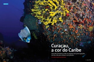 Mergulho

Curaçau,
a cor do Caribe

Uma ilha fantástica onde se esquece das preocupações
do dia a dia para relaxar num paraíso
Por Carolina Schrappe Fotos: Kadu Pinheiro

130

PERFILNÁUTICO

PERFILNÁUTICO

131

 