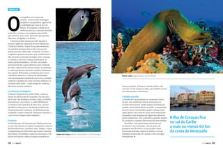 Mergulho

O

s mergulhos em Curaçau são
variados. Existem belos naufrágios,
mergulhos com golfinhos, águas azuis
e visibilidade que varia de 20 a 40
metros. A navegação é rápida até os
melhores pontos e a estrutura hoteleira
muito boa. Curaçau é um programa para família,
para solteiros, para casais, para todos que queiram
descansar, mergulhar e se divertir.
A história da ilha começa em 1499, durante a
terceira viagem de exploração do Novo Mundo por
Cristóvão Colombo. Depois do seu descobrimento,
os espanhóis permaneciam na ilha à procura de
pedras preciosas. Mais tarde, a Holanda, a França e
a Inglaterra queriam sua posse, pois consideravam a
ilha um ponto comercial estratégico entre a Europa
e a América. Em 1634, Curaçau transformou-se
numa colônia holandesa e, em 1815, um tratado
internacional deu a posse definitiva para a Holanda.
Em 1954, o governo de Curaçau tornou-se autônomo.
É a principal ilha das chamadas Antilhas Holandesas.
Sua capital é Willemstad, considerada pela Unesco
Patrimônio Histórico e Cultural da Humanidade,
com sua arquitetura colonial de cores vivas, animado
comércio e moinhos de vento. Os fortes militares e o
Cemitério Beth Haim – o mais antigo das Américas –
são outras atrações turísticas.

Moreia-verde surge em meio a corais coloridos

feitas no atacado. O florim é a moeda oficial e vale
cerca de 1,75 em relação ao dólar, que também é aceito
em todas as lojas e restaurantes.

Localização privilegiada

A ilha de Curaçau fica ao sul do Caribe, a mais ou
menos 60 km da costa da Venezuela. Em uma área
de 472 km² são 38 praias e 40 baías, onde o sol brilha
praticamente o ano inteiro. A capital Willemstad
é cortada ao meio pela Baía de Santa Ana, que fica
dividida em duas partes: Otrobanda (residencial) e
Punda (comercial e turística). Em Willemstad está
localizado o centro comercial, industrial e bancário, e
o povo local é sempre muito simpático.

Cardápio peculiar

Compras

De Breedestraat, De Heerenstraat e Madurostraat são
as ruas mais famosas da capital, com grande comércio
de eletroeletrônicos, perfumes, joias, relógios, roupas
e equipamentos de informática que atraem a atenção
dos turistas. Há também a opção da zona franca, com
preços mais baixos, onde as compras só podem ser

132

PERFILNÁUTICO

A beleza de Curaçau pode ser vista de dentro ou de fora da água

A cozinha de Curaçau baseia-se, em peixes e frutos
do mar, mas também há muitos restaurantes de
cozinha internacional. Jambo (espécie de feijoada de
quiabo), bestia chiki (cabrito ao molho, acompanhado
de arroz mouro com lentilha, quiabo e banana frita),
sopito (peixe com creme de coco), karni stoba (carne
ensopada) e sopa de iguana são alguns dos saborosos
pratos tradicionais. Para a sobremesa, quesilho (pudim
de caramelo) e casjupete (bolo preto) são boas pedidas.
Para beber, fruit punch (uma mistura de suco
de abacaxi e suco de laranja, com um pouco de
granadine não alcoólico) e a famosa piña colada
são as mais indicadas, depois da Amstel, a cerveja
holandesa fermentada em Curaçau e feita com água
dessalinizada. j

A ilha de Curaçau fica
no sul do Caribe
a mais ou menos 60 km
da costa da Venezuela
PERFILNÁUTICO

133

 