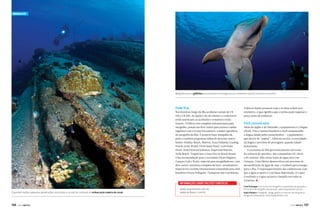 Mergulho

Mergulho junto a golfinhos acostumados a interagir em seu ambiente natural com seres humanos

Onde ficar

Nos hotéis ao longo da ilha as diárias variam de U$
100 a U$ 300. As opções vão do clássico e confortável
estilo americano ao acolhedor e romântico estilo
francês. O Hilton tem completa infraestrutura para
mergulho, possui um dive center para cursos e saídas
regulares com a Ocean Encounters, a maior operadora
de mergulho da ilha. É possível fazer mergulho de
praia e também programar saídas de diversos outros
hotéis: Holiday Beach, Marriot, Kura Hulanda/Leading
Hotels of the World, Floris Suite Hotel, Loris Suite
Hotel, Hotel Howard Johnson, Superclub Breezes,
Avila Beach, Trupial inn e Lions Dive & Beach Resort.
Uma recomendação para o novíssimo Hyatt Regency
Curaçao Golf e Hyatt, especial para mergulhadores, com
dive center, estrutura completa de lazer, atendimento
impecável e cozinha internacional comandada pelo chef
brasileiro Vicent Pellegrini. Transporte não é problema.

INFOrmaçõeS SObre PaCOTeS TUríSTICOS
É possível realizar pequenas penetrações nos porões e na sala de comando da embarcação coberta de corais

136

PERFILNÁUTICO

www.acquanauta.com.br
www.arribatur.com.br

Todos os hotéis possuem vans e os táxis rodam sem
taxímetro, o que significa que o turista pode negociar o
preço antes de embarcar.

Fácil comunicação

Além do inglês e do holandês, o papiamento é a língua
oficial. Para o turista brasileiro é fácil compreender
a língua falada pelos curaçolenhos – o papiamento –
que deriva de “papiar”. Além da escrita, a sonoridade
da língua é próxima do português, quando falado
lentamente.
A economia da ilha gira basicamente em torno
da refinaria de petróleo, das companhias off-shore
e do turismo. Não existe fonte de água doce em
Curaçau. Uma fábrica desenvolveu um processo de
dessanilização da água do mar, e também gera energia
para a ilha. O superaquecimento das caldeiras faz com
que a água evapore e o sal fique depositado. O vapor
é resfriado e a água sai pura e límpida em todas as
torneiras. S
Carol Schrappe é instrutora de mergulho e proprietária da operadora
de turismo de mergulho Acquanauta. www.acquanauta.com.br.
Kadu Pinheiro é fotógrafo, design gráfico e instrutor de mergulho e
fotografia subaquática. www.kadupinheiro.com.

PERFILNÁUTICO

137

 