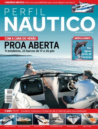 Revista Arena Turbo 19, PDF, Televisão