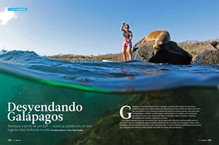 Turismo GALÁPAGOS

Desvendando
Galápagos

Aventura a bordo de um SUP — stand up paddle em um dos
lugares mais lindos do mundo Por Roberta Borsari • Fotos Fabio Paradise
128  PERFILNÁUTICO

G

alápagos é considerada por muitos um lugar especial, pela riqueza de sua fauna
endêmica e por fazer parte da história marcada pela famosa visita de Darwin em 1835,
que possibilitou a ele o desenvolvimento da teoria da seleção natural. Mas para mim
o arquipélago é também um dos lugares mais bonitos do mundo, com suas praias
paradisíacas com rochas negras de origem vulcânica, água cristalina e a enorme
diversidade de animais compondo o cenário.
Ter a oportunidade de passar a entrada do ano-novo explorando a ilha de stand up paddle pareceume muito tentador. Remar pelas águas cristalinas da Ilha de San Cristóbal com tartarugas, arraias, leõesmarinhos e diversas espécies de peixes seria rotina para mim. E testar as minhas habilidades nesse esporte
que une surfe com remo em ondas rápidas com fundo de pedra seria um desafio! j

PERFILNÁUTICO 

129 

 