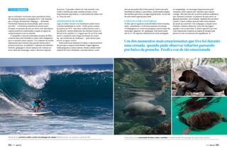 Turismo GALÁPAGOS
que os visitantes vivenciem uma experiência única
de interação durante o mergulho livre. Vale ressaltar
que o Parque Nacional de Galápagos — declarado
Patrimônio Natural da Humanidade, pela Unesco
em 1978 — é referência mundial em preservação.
Portanto os passeios devem ser feitos com operadoras
e guias turísticos credenciados e seguir as regras de
comportamento com os animais.
O mergulho é uma das principais atrações da ilha e
a famosa Isla León Dormido e é uma visita obrigatória
para os amantes deste esporte. Um conjunto de rochas
imponentes que formam uma grande fenda onde é
possível atravessá-la nadando. Cardumes de tubarõesmartelo, galápagos e outras espécies são comuns no
local, além das tartarugas, lobos e diversas espécies

de peixes. O paredão coberto de vida marinha com
corais e estrelas das mais variadas formas e cores
impressionam pela beleza, e a adrenalina de nadar com
as “feras do mar”.

meu pé nas pedras (levei dois pontos), tomei uma série
inteirinha na cabeça e, para fechar, recebi muitos elogios
dos surfistas que estava na água naquela tarde. Foi um dia
de surfe muito especial para mim!

Os desafios do surfe

Contato com a natureza

Logo as ondas vieram e eu finalmente pude testar
a minha habilidade no surfe. Tenho pouco tempo
de prática no SUP, mas meu conhecimento com o
kayaksurfe, minha dedicação dos últimos meses no
litoral norte paulista e a viagem que fiz ao Peru onde
surfei a esquerda mais longa do mundo de stand
up, me encheram de confiança — pelo menos para
entrar na água e tentar.
Surfei num local chamado El Cañón e o dia foi incrível,
isto por que eu superei meus limites. Peguei algumas
ondas pequenas e outras maiores. Surfei a minha maior
onda de SUP até o momento, com dois metros, cortei

Depois de ser a primeira mulher a surfar em Galápagos de caiaque, Roberta tornou-se a primeira a surfar de SUP

132  PERFILNÁUTICO

Os dias que se seguiram eram divididos entre remadas,
surfe, caminhadas e os diversos passeios no parque.
A Galapaguera é o centro de pesquisa e preservação das
tartarugas-gigantes-de-galápagos. Elas fazem parte
dos 18,2% de espécies endêmicas do total catalogado

no arquipélago. As tartarugas impressionam pelo
tamanho e pelo aspecto pré-histórico que trazem
consigo. Mas elas não são os únicos animais endêmicos
que chamam a atenção: os pássaros de pata azul e as
iguanas marinhas, por exemplo, também são um show
à parte. E fazer a observação de todos estes animais
de stand up é perfeito! Em Galápagos a relação entre
homem e animal é diferente, pois eles não fogem
quando você se aproxima. É muito especial e por isso
é tão importante respeitar as regras do parque para
preservar este ecossistema tão equilibrado. j

Um dos momentos mais emocionantes que tive foi durante
uma remada, quando pude observar tubarões passando
por baixo da prancha. Perdi a voz de tão emocionada

A Isla Lobos é uma maternidade de leões e lobos-marinhos e morada também de tartarugas de aspecto pré-histórico

PERFILNÁUTICO 

133 

 