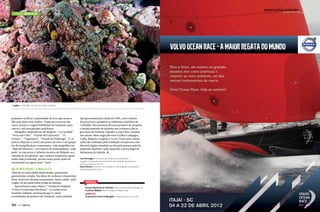 Turismo Mergulho

O polvo confunde-se com o fundo rochoso

pudemos verificar a quantidade de aves que usam a
ilha para fazer seus ninhos. Pequenas cavernas são
outra atração e exigem habilidade do barqueiro para
entrar e sair sem grandes problemas.
Mergulhos imperdíveis em Malpelo: “La Catedral”,
“Porta del Cielo”, “Parede del Fantasma”, “El
Freezer”, “Vagamares”, “Parede del Náufrago”. E, se
estiver disposto a correr um pouco de risco e seu grupo
for de mergulhadores experientes, vale mergulhar em
“Bajo del Monstro” a 60 metros de profundidade, onde
pode-se encontrar o tubarão monstro de Malpelo ou o
tubarão de seis guelras, que costuma frequentar águas
ainda mais profundas, porém nesse ponto pode ser
encontrado em águas mais “rasas”.

Retornando a Bogotá

Além de ser uma cidade muito bonita, possui uma
gastronomia variada. Não deixe de conhecer o Quarteirão
Rosa, local com diversos restaurantes, bares e pubs, onde
o agito vai até tarde todos os dias da semana.
Aproveitamos para visitar a “Fundación Malpelo
Y Otros Ecosistemas Marinhos”. Lá conhecemos
Stanislas Teillaud, um francês que é o atual
coordenador de projetos da Fundação, uma entidade

142  PERFILNÁUTICO

não governamental criada em 1999, com o intuito
de preservar e pesquisar os ambientes marinhos da
Colômbia. Eles possuem diversos projetos de pesquisa
e monitoramento de tubarões em conjunto com os
governos do Panamá, Equador e Costa Rica, fazendo
um estudo sobre migração entre as ilhas Galápagos,
Coiba, Malpelo, Gorgona e Cocos. Essas entre outras
ações são realizadas pela Fundação em parceria com
diversos órgãos mundiais na luta pela preservação do
ambiente marinho e pela repressão à pesca ilegal de
barbatanas de tubarão. S
Carol Schrappe é instrutora de mergulho e proprietária
da agência especializada em turismo de mergulho Acquanauta.
www.acquanauta.com.br.
Kadu Pinheiro é instrutor de mergulho e de fotografia subaquática.
www.kadupinheiro.com.

Serviço
Parques Nacionais da Colômbia: www.parquesnacionales.gov.co
Fundação Malpelo: www.fundacionmalpelo.org
Quem leva
Acquanauta Centro de Mergulho: www.acquanauta.com.br

PERFILNÁUTICO 

143 

 