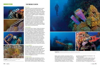 Turismo Mergulho

Os mergulhos
Havana

A maioria dos roteiros de mergulho despreza a capital
cubana, mas quem visita Havana não pode perder
os excelentes mergulhos que a cidade oferece, com
visibilidade média de 30 metros, muita vida e pequenos
naufrágios. O mergulho é feito próximo à costa onde a
riqueza de cores de gorgônias, corais, esponjas, peixes
recifais, moreias, camarões, lagostas e caranguejos são
um deslumbre à parte.
Ficamos no Hotel Acuario na Marina Hemingway,
em frente à operadora, eu de castigo no primeiro dia
de mergulho devido a atrasos burocráticos com meu
visto de imprensa. Como é uma marina internacional,
movimentada e uma das mais próximas de Miami,
a fiscalização é rigorosa e o passaporte na saída de
mergulho é obrigatório. Fiquei a desfrutar de mojitos e
charutos na beira da piscina no primeiro dia de viagem,
o que confesso não achei nada ruim.

Varadero

Um dos pontos altos da viagem. Varadero fica distante
duas horas de Havana, a praia mais badalada da ilha
com 12 quilômetros de extensão, dezenas de hotéis e
vida noturna agitada. O mergulho na Fragata Russa é
fantástico, uma gigante adormecida da época da guerra
fria, afundada propositalmente para a criação de um
recife artificial. Está inteira e em posição de navegação,
repousa a 30 metros em um fundo de areia branca
com visibilidade de mais de 25 metros. Seus canhões
e baterias de mísseis ainda podem ser vistos intocados
e incrustados de vida colorida, pequenos cardumes,
barracudas e tarpões. Nosso segundo mergulho foi
feito em outro naufrágio, um camaronero. Surpresos,
visualizamos as silhuetas de carros de combate russos
espalhados pelo fundo arenoso, rodeados de cardumes.

Playa GirÓn

Na região de Zapata, Playa Girón fica a três horas
de Havana. Famosa pela frustrada tentativa de
invasão americana nos anos 60, a região é conhecida
pela ocorrência de crocodilos de água salgada. Os
mergulhos são feitos a partir da praia, a água tem uma
das melhores visibilidades de Cuba, muito colorido,
grandes esponjas e gorgônias, mas a vida é mais
escassa. A região possui diversos cenotes e possibilita
excelentes mergulhos em caverna.

Cienfuegos
O mergulho é feito próximo à costa, onde a riqueza
de cores e vida marinha é abundante

172  PERFILNÁUTICO

Na região central de Cuba está Cienfuegos, umas das
mais belas cidades da ilha. Iluminada, ampla, com ruas
simétricas que terminam na baía de águas claras do
Mar do Caribe, seus belos palácios coloniais, alamedas,

Fragata Russa, afundada propositalmente para a criação de um recife artificial

igrejas e teatros convidam a uma imersão cultural.
Os mergulhos são feitos a partir de Rancho Luna, um
dive center localizado em um hotel a 20 quilômetros
de distância do centro. Vão desde pequenas cavernas
a belos naufrágios e paredões. Com vários barcos
naufragados intencionalmente, destaco o Labirinto,

que fizemos em combinado ao Tres Hermanos – três
pequenos naufrágios.
O planejamento do mergulho exigia precisão, pois
desceríamos até 50 metros em cima dos naufrágios
e navegaríamos de volta pelo paredão até a boca
da caverna do Labirinto. Um dos guias ficou a uma j
PERFILNÁUTICO 

173 

 