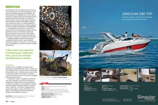 Turismo Mergulho
profundidade de 30 metros logo acima da entrada da
caverna dando apoio e servindo de segurança, o outro
guia nos acompanhou neste incrível mergulho, um
azul profundo com visibilidade ótima. Aos 30 metros
avistamos as silhuetas negras dos três pequenos barcos
pesqueiros já bem desmantelados. Com tempo de
fundo reduzido e tendo que pagar alguns minutos de
descompressão, deixamos os naufrágios e rumamos
para a entrada da caverna, com várias claraboias de
iluminação natural formando um verdadeiro labirinto
de túneis e passagens para deleite dos mergulhadores.
Os naufrágios dos Camaroneros I e II são outros
pontos que concentram pequenos cardumes, moreias,
grandes esponjas e corais coloridos, propiciando
prazerosas incursões em seu interior. Mas cuidado,
algumas estruturas internas dos porões já estão com
suas vigas de sustentação em estado bem deteriorado.
Cienfuegos também é conhecida pela presença
ocasional de tubarões-baleias, o que nas últimas
temporadas comprovou-se um fato raro. Por causa da
pesca, a quantidade de cardumes da região foi reduzida
drasticamente.

Cuba conta com uma boa
estrutura para visitantes,
mas carece de um bom
atendimento ao turista
Trinidad

Fundada em 1514, Trinidad é reconhecida como
Patrimônio da Humanidade pela Unesco. Uma das mais
belas cidades de Cuba, com uma cadeia de montanhas e
um maravilhoso mar. A feirinha de rua no centro velho,
os restaurantes caseiros, as ruazinhas e a paisagem
colonial dessa cidade merecem uma pausa no mergulho
para uma atenção especial.
Voltando para a água, os mergulhos são parecidos
com os de Cienfuegos, com recifes de corais que se
estendem até a beira do abismo de onde despencam
em belíssimos paredões com suas gorgônias, esponjas
e grande variedade de pequenos peixes e crustáceos,
como o “king crab”, um enorme caranguejo muito
comum nessa região. Um ponto de destaque é Cayo
Blanco, mas não pudemos usufruir em função de
mudanças nas condições de tempo. S
Kadu Pinheiro é fotógrafo, design gráfico e instrutor de mergulho e
fotografia subaquática. www.kadupinheiro.com.

174  PERFILNÁUTICO

Em terra ou mergulhando, Cuba é um destino especial

Dicas
Clima: tropical, furacões ocorrem de junho a novembro.
Língua: espanhol.
Moeda: melhor levar euros, a conversão do câmbio é mais
favorável. O CUC é a moeda local para o turista. Cartões de
crédito são aceitos desde que não sejam de bancos americanos.
Documentos necessários: passaporte e visto.
Melhor época para mergulho: setembro a maio.
Temperatura da água: 24 a 28°C.
Visibilidade média: 40 a 50 metros.

PERFILNÁUTICO 

175 

 