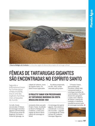 Canal Esporte MERCADO NÁUTICO 
A Nautimax, concessionária Volvo Penta no estado do Paraná, fortalece cada vez mais esta 
N o s s a e q u i p e d e p r o  s s i o n a i s é q u a l i  c a d a , p o i s a l é m d o k n ow - h o w a d q u i r i d o c o m o s a n o s 
d e e x p e r i ê n c i a , b u s c a m o s c o n s t a n t e m e n t e a e s p e c i a l i z a ç ã o a t r a v é s d e c u r s o s e a q u i s i ç ã o d e 
f e r r a m e n t a s e s p e c i a i s q u e p e r m i t a m a e x e c u ç ã o d o s s e r v i ç o s c o m a m á x i m a e  c i ê n c i a . 
Of e re cemo s to d a a l i n h a d e mo to re s , p ro p u l s o re s , 
p e ç a s , a ce s s ó r i o s e s e r v i ç o s , d e n t ro d o s p a d r õ e s 
d e q u a l i d a d e e a te n d ime n to Vo l vo P e n t a . 
PERFILNÁUTICO 155 
parceria visando sempre a excelência no atendimento aos clientes. 
MERCADO NÁUTICO 
seu lazer, nosso compromisso! 
www.nautimax.com.br 
NAUTIMAX - Rua Eurides Cunha, 224 - Vila Izabel - Curitiba/PR - Fone: (41) 3333-0410 
 