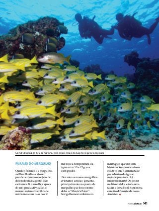 Grande diversidade de vida marinha, com corais e mais de duas mil espécies de peixes

PARAÍSO DO MERGULHO
Quando falamos de mergulho,
as Ilhas Maldivas são um
paraíso submerso e objeto de
desejo de muita gente. Não
estivemos lá na melhor época
do ano para a atividade, e
mesmo assim a visibilidade
média ficava na casa dos 20

metros e a temperatura da
água entre 25 e 27 graus
centígrados.
Durante os nossos mergulhos
avistamos arraias-jamanta,
principalmente no ponto de
mergulho que leva o nome
delas o “Manta’s Point”.
Mergulhamos também em

naufrágios que contam
histórias locais misteriosas
e outros que ficam metade
para dentro da água e
metade para fora. Foi
impressionante! Os peixes
multicoloridos e toda uma
fauna e flora local riquíssima
e muito diferente da nossa
América.
PERFILNÁUTICO 

141

 