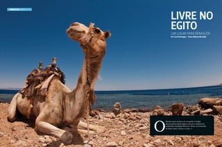 MERGULHO EGITO

LIVRE NO
EGITO
Um lugar para renascer
Por Carol Schrappe - Fotos Adriana Brandão

O

destino nesta aventura de mergulho é Dahab,
uma pequena cidade egípcia situada a nordeste da
conhecida e badalada Sharm el-Sheik, na Península
do Sinai, entre a África e a Ásia.

142  PERFILNÁUTICO

PERFILNÁUTICO 

143

 