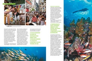 mergulho cuba

Proteção e os mergulhos
A ilha agora é uma área protegida.
Não sendo permitida mais a pesca,
os pontos de mergulho estão
recuperando todo seu esplendor
e, fora o Hotel El Colony, base de
mergulho nos tempos áureos,
os pontos de mergulho estão
praticamente intocados há mais
de dez anos, além de muitos outros
pontos que estão sendo explorados
e descobertos pela facilidade da
operação no Live Aboard
MV Georgiana.
O agora Parque Nacional Marinho
“Punta Francés”, base de
entretenimento e cenário assíduo

Um lugar rústico e sem grande desenvolvimento

de Canarreos, que comporta mais de
350 ilhas, entre elas as de Cayo Largo
del Sur, outro destino “carimbado”
em diversos passaportes de
mergulhadores brasileiros. Possui
em torno de 75 mil habitantes e
está localizada a sudoeste da ilha
principal de Cuba. Este é um lugar
rústico, uma ilha quase selvagem
e sem grande desenvolvimento,
com pouco turismo, a não ser por
jovens que vêm de vários lugares
do mundo para frequentar seu polo
universitário, com mais de
3 mil alunos.
É uma ilha onde se pode desfrutar da
“Playa Bibijagua”, de areia vulcânica

preta, de edifícios emblemáticos,
como a Penitenciária Modelo,
onde estiveram prisioneiros
famosos como Fidel Castro e seu
irmão Raúl, além de Che Guevara,
e outros lugares naturais, como
o Pântano Lanier ou as Grutas de
Punta del Este. A Ilha da Juventude
foi fonte de inspiração para
Robert Louis Stevenson escrever
o clássico da literatura A Ilha do
Tesouro, em 1883. Muita gente
ainda acredita que em algum
lugar do mar turquesa desta ilha
esteja escondido o baú do tesouro
do capitão Morgan. Se ninguém
ainda encontrou o tal tesouro,

outras riquezas estão bem à vista
para quem quiser ver: as belezas
naturais da Ilha da Juventude.

A ILHA DA JUVENTUDE
FOI FONTE DE
INSPIRAÇÃO PARA
ROBERT LOUIS
STEVENSON ESCREVER
O CLÁSSICO DA
LITERATURA A ILHA DO
TESOURO, EM 1883

A TEMPERATURA DA
ÁGUA É AGRADÁVEL
DURANTE O ANO
INTEIRO, COM CORAIS
PRESERVADOS
E VARIEDADE DE PERFIS
DE MERGULHOS
no passado de competições de
fotografia subaquática, recebeu um
campeonato mundial e três locais
em seus 56 pontos demarcados com
visibilidade privilegiada.
A temperatura da água é agradável
durante o ano inteiro, girando
em torno de 29 graus, com corais
preservados e variedade de perfis
de mergulhos. Há pontos rasos
ou profundos com paredões que
despencam até 2,7 mil metros,
mais de 20 cavernas coralíneas,
que são verdadeiras “catedrais”
subaquáticas, e até alguns
naufrágios, especialmente em Cayo
los Indios, que conta com pontos
com até três barcos naufragados
lado a lado. Um cenário desenhado
por inúmeras gorgônias e corais
multicoloridos difíceis de encontrar
em outros pontos do Caribe.

 