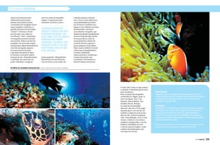 ESTILO NÁUTICO MERGULHO
Em Fiji há um verdadeiro frenesi de tons, corais, enormes barracudas e tubarões.
O mergulho em Fiji é
mágico. É mágico em seus
pequenos detalhes, em
suas cores, em sua imensa
variedade de corais
coloridos, de peixes, nos
pequenos seres e na sua
excepcional água de um
azul intenso.
Como chegar:
Acquanauta Centro de Mergulho faz pacotes para grupos e também
individuais para este destino. Voando de São Paulo pela LAN com destino
a Santiago (Chile) e depois pela Air New Zealand a Auckland (Nova
Zelândia) e em seguida a Nadi.
Destaques:
Sem dúvida a cor do fundo do mar em Fiji é deslumbrante e inigualável.
Os mergulhos foram a parte “alta” da viagem, mas não poderíamos
deixar de valorizar ainda mais o povo local, surpreendentemente
simpático. Por essa razão, todos os mergulhadores que participaram
dessa viagem se sentiram mais relaxados e acolhidos, apesar da grande
diferença cultural entre os países.
Nicole Lemaczyk é administradora, oceanógrafa, instrutora de mergulho e faz parte
do time da Acquanauta que acompanha os mergulhadores pelo mundo.
124  PERFILNÁUTICO PERFILNÁUTICO  125
um novo ponto de mergulho.
Engana-se quem pensa que
estávamos restritos a cores e
peixes pequenos. Mergulhamos
literalmente em um frenesi de
tons em meio a corais moles tão
Apesar de permanecermos
embarcados praticamente
durante uma semana inteira,
os momentos de navegação foram
supertranquilos, sendo que os
grandes percursos foram sempre
“mareio”. Estivemos a bordo
por oito dias e sete noites no
LiveAboard “Naia”, totalizando
24 mergulhos possíveis durante
esse período. Sobre os pontos de
mergulho, há tantos que sempre
alcançávamos algum deslumbrante
com uma navegação pequena
em nossos barcos de apoio.
Logo depois da queda na água,
já tínhamos novamente aquela
sensação de paz, deslumbramento
e satisfação, por mais uma vez
poder vislumbrar a magia de
coloridos quanto os demais
seres. Para os mais audaciosos,
em profundidades próximas
aos 30 metros, podíamos nos
deparar com cardumes enormes
de barracudas, encontros
com tubarões tranquilos, que
desfilavam despreocupadamente
numa avenida que liga a borda
de um paredão ao cume de
um promontório coberto de
corais de diversas espécies e
peixes pequenos brincalhões.
Raias-manta também circulam
e divertem os mergulhadores
sortudos, desfilando
majestosamente à medida que
estamos brincando com
os tubarões e barracudas na
beira do abismo azul escuro.
É tanta vida e tanta cor que começo
a entender a felicidade que há nessa
parte do planeta.
Entre os pontos de mergulhos
conhecidos na viagem, pode-se
citar Cats Meow, Vatu-I-Ra,
Namona, Mount Mutiny, Nasi
Yalodina Wreck, Wakaya.
E a cada dia um mergulho
diferente. Mas não é só de magia
marinha que se vive em Fiji. Há
também a magia das pessoas das
ilhas de Fiji. Conhecer pequenas
vilas, como Makogai, viver os seus
rituais e conhecer a sua cultura
também é enriquecedor, e nos faz
lembrar a felicidade em viver
a vida de maneira simples, vendo
a dádiva da simplicidade e das
cores que nos cercam.
 