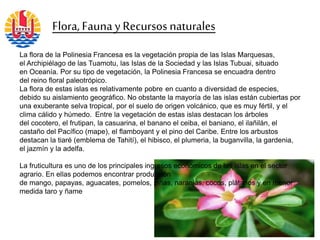 La flora de la Polinesia Francesa es la vegetación propia de las Islas Marquesas,
el Archipiélago de las Tuamotu, las Islas de la Sociedad y las Islas Tubuai, situado
en Oceanía. Por su tipo de vegetación, la Polinesia Francesa se encuadra dentro
del reino floral paleotrópico.
La flora de estas islas es relativamente pobre en cuanto a diversidad de especies,
debido su aislamiento geográfico. No obstante la mayoría de las islas están cubiertas por
una exuberante selva tropical, por el suelo de origen volcánico, que es muy fértil, y el
clima cálido y húmedo. Entre la vegetación de estas islas destacan los árboles
del cocotero, el frutipan, la casuarina, el banano el ceiba, el baniano, el ilañilán, el
castaño del Pacífico (mape), el flamboyant y el pino del Caribe. Entre los arbustos
destacan la tiaré (emblema de Tahití), el hibisco, el plumeria, la buganvilla, la gardenia,
el jazmín y la adelfa.
La fruticultura es uno de los principales ingresos económicos de las islas en el sector
agrario. En ellas podemos encontrar producción
de mango, papayas, aguacates, pomelos, piñas, naranjas, cocos, plátanos y en menor
medida taro y ñame
Flora,Faunay Recursos naturales
 