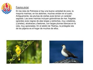 Fauna aviar
En las islas de Polinesia si hay una buena variedad de aves, la
mayoría marinas; en los atolones, muchas anidan en el suelo.
Antiguamente, las plumas de ciertas aves tenían un carácter
sagrado. Las aves marinas incluyen golondrinas de mar, fragatas
(grandes aves negras de alas largas y estrechas, muy voladoras,
y piratas), alcatraces y faetones, con largas plumas blancas en la
cola, muy apreciadas. En el atolón de Tikehau, la protegida isla
de los pájaros es el hogar de muchos de ellos.
 