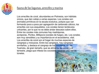 fauna de las lagunas,arrecifes y marina
Los arrecifes de coral, abundantes en Polinesia, son hábitats
únicos, que dan cobijo a varias especies. Los corales son
animales primitivos en la escala evolutiva, polipos que van
formando poco a poco por agregación de carbonato cálcico, los
arrecifes con sus esqueletos. Los corales tienen tentáculos
urticantes, por lo que no se debe andar descalzo sobre ellos.
Entre los corales más comunes hay madréporas,
acróporas, Porites, Millepora (corales de fuego), etc. Los corales
son muy sensibles y su importancia en el ecosistema, vital.
Los arrecifes de coral son el hogar de muchas especies de
cangrejos y moluscos. Entre los cangrejos, hay cangrejos
ermitaños, y destaca el cangrejo de los cocoteros, en las
Tuamotu, de gran tamaño, que se alimenta de cocos, y el
terrestre, plaga que infesta los cocotales cavando una red de
túneles.
 