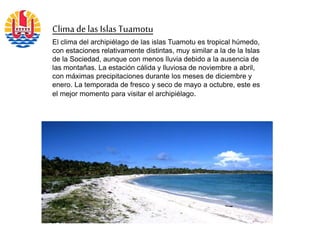 Clima de las IslasTuamotu
El clima del archipiélago de las islas Tuamotu es tropical húmedo,
con estaciones relativamente distintas, muy similar a la de la Islas
de la Sociedad, aunque con menos lluvia debido a la ausencia de
las montañas. La estación cálida y lluviosa de noviembre a abril,
con máximas precipitaciones durante los meses de diciembre y
enero. La temporada de fresco y seco de mayo a octubre, este es
el mejor momento para visitar el archipiélago.
 