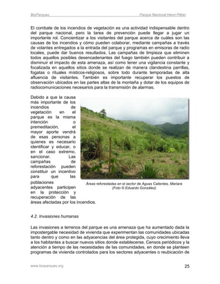 BioParques                                                     Parque Nacional Henri Pittier


El combate de los incendios de vegetación es una actividad indispensable dentro
del parque nacional, pero la tarea de prevención puede llegar a jugar un
importante rol. Concientizar a los visitantes del parque acerca de cuáles son las
causas de los incendios y cómo pueden colaborar, mediante campañas a través
de volantes entregados a la entrada del parque y programas en emisoras de radio
locales, puede dar buenos resultados. Las campañas de limpieza que eliminen
todos aquellos posibles desencadenantes del fuego también pueden contribuir a
disminuir el impacto de esta amenaza, así como tener una vigilancia constante y
focalizada en aquellos sitios donde se realizan de manera clandestina parrillas,
fogatas o rituales místicos-religiosos, sobre todo durante temporadas de alta
afluencia de visitantes. También es importante recuperar los puestos de
observación ubicados en las partes altas de la montaña y dotar de los equipos de
radiocomunicaciones necesarios para la transmisión de alarmas.

Debido a que la causa
más importante de los
incendios            de
vegetación      en    el
parque es la misma
intención             o
premeditación,        el
mayor aporte vendrá
de esas personas a
quienes es necesario
identificar y educar, o
en el caso extremo,
sancionar.         Las
campañas             de
reforestación pueden
constituir un incentivo
para        que     las
poblaciones                  Áreas reforestadas en el sector de Aguas Calientes, Mariara
adyacentes participen                        (Foto © Eduardo González)
en la protección y
recuperación de las
áreas afectadas por los incendios.


4.2. Invasiones humanas

Las invasiones a terrenos del parque es una amenaza que ha aumentado dada la
impostergable necesidad de vivienda que experimentan las comunidades ubicadas
tanto dentro y como en las adyacencias del área protegida, cuyo crecimiento lleva
a los habitantes a buscar nuevos sitios donde establecerse. Censos periódicos y la
atención a tiempo de las necesidades de las comunidades, en donde se planteen
programas de vivienda controlados para los sectores adyacentes o reubicación de


www.bioparques.org                                                                         25
 