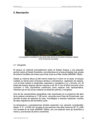 BioParques                                                    Parque Nacional Henri Pittier


2. Descripción




      La humedad es constante en las zonas altas donde se encuentra el bosque nublado
                               (Foto © Eduardo González)


2.1. Geografía

El parque se extiende principalmente sobre el Estado Aragua y una pequeña
porción sobre el Estado Carabobo, convirtiéndose en el área protegida más amplia
de toda la Cordillera de Costa cuyo límite norte es el Mar Caribe (MARNR 1992a).

Desde su máxima altura (2.436 msnm) hasta los 0 msnm en la costa, el bosque
nublado va dando paso al bosque deciduo y semideciduo, vegetación de sabana,
y en la línea costera a cardonales, espinares y manglares (Luy y Morales s/f). El
dosel del bosque alcanza alturas mayores a los 50 m con el árbol conocido como
cucharón o niño (Gyranthera caribensis) como especie más representativa,
mientras que en las zonas costeras se observan palmas y manglares.

Una de las características geográficas más importantes es la presencia del abra
de la cadena montañosa a 1.136 msnm, conocida como Paso de Portachuelo, que
permite el paso de especies de aves, murciélagos e insectos voladores, muchos
de ellos migratorios del hemisferio norte.

La temperatura y precipitaciones también presentan una variación considerable:
desde 6 °C y 4.000 mm anuales en los sectores más altos hasta los 28 °C y 690
mm anuales en la costa (MARNR 1992a), con una estación seca de diciembre a
marzo y una lluviosa de abril a noviembre.


www.bioparques.org                                                                            4
 
