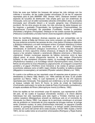 BioParques                                        Parque Nacional Península de Paria


Entre las aves que habitan los bosques del parque las más vistosas son los
colibríes o tucusitos, de las cuales pueden encontrarse 33 de las 97 especies
reportadas para el país (MARNR 1992, Sharpe 1997). Destacan también otras
especies de tucusitos de distribución más amplia pero que son endémicas de
Venezuela, como son el colibrí esmeralda coliverde (Chlrostilbon alice), la amazilia
bronceada azul (Amazilia tobaci) y el tucusito garganta rosa (Chaetocercus
jourdanii). De los otros grupos de aves, los más comunes de estos bosques son
los trogones y quetzales (Trogonidade), los hormigueros (Thamnophilidae), los
atrapamoscas (Tyrannidae), las paraulatas (Turdidade), reinitas y candelitas
(Parulidae) y tángaras (Thraupidae). Destacan en las costas rocosas los pelícanos
(Pelecanus occidentalis) y la boba marrón (Sula leucogaster) (Sharpe 1997).

Entre los mamíferos destacan diversas especies que son compartidas con la
Guayana, donde el Delta del Orinoco sirve como conexión con ésta última, entre
las que podemos encontrar las perezas de dos y tres dedos (Choloepus didactylus
y Bradypus tridactylus) y el osito hormiguero enano (Cyclopes didactylus) (Linares
1998). Otras especies que se encuentran son el osito melero (Tamandua
tetradactyla), el cachicamo (Dasypus novemcintus), el mono araguato (Alouatta
seniculus), el mono capuchino (Cebus olivaceus), el báquiro de collar (Tayassu
tayacu) y los venados matacán y caramerudo (Mazama americana y Odocoileus
virginianus). Existen numerosas especies de hábitos nocturnos como la lapa
(Agouti paca), el picure (Dasyprocta leporina), la rata casigua (Proechymis
trinitatis), la rata montañera (Oryzomis capito), el murciélago lanceolado mayor
(Phyllostomus hastatus) y el murciélago narizón (Rynchonycteris naso). Entre los
felinos se encuentra la onza (Herpailurus yagouaroundi), el cunaguaro (Leopardus
pardalis) y el jaguar (Panthera onca) Cercanos a las costas el parque pueden
encontrarse cetáceos como el delfín negro (Sotalia fluviatilis), la ballena jorobada
(Megaptera novaeangliae) y el cachalote (Physeter catodon) (Bisbal y col. 1994).

En cuanto a los anfibios se han reportado unas 40 especies para el parque y sus
alrededores (La Marca 1992, Bisbal y col. 1994) además de otras 10 de posible
aparición (La Marca, 1992), lo cual representa un 20% de las 275 especies
reportadas para Venezuela. Tres especies son endémicas y se han encontrado en
el bosque nublado del Cerro El Humo: la ranita de cristal de Castroviejo
(Cochranella castroviejoi), la ranita de cristal de Paria (Cochranella vozmedianoi) y
el sapito acorallado de Rivero (Mannophryne riveroi) (La Marca, 1992).

Entre los reptiles se han encontrado unas 63 especies, que representan el 20%
del país, de las cuales el tuqueque (Gonatodes ceciliae) y la víbora (Bachia
heterotopa) han sido reportadas para esta región y Trinidad, mientras que la
culebra cazadora (Mastygodryas amarali) se distribuye solo en el nororiente de
Venezuela (La Marca 1992). Las playas de la península constituyen el principal
sitio de anidación en Venezuela de cinco especies de tortugas marinas: la tortuga
verde (Chelonia mydas), la carey (Eretmochelys imbricata), la caguama (Caretta
caretta), la guaraguá (Lepidochelys olivacea) y la tortuga cardón (Dermochelys
coriacea), así como del caimán de la costa (Guada y Vernet 1989, Guada y Vernet
1991), de los cuales todos se encuentran amenazados (Rodríguez y Rojas-Suárez

www.bioparques.org                                                                     9
 