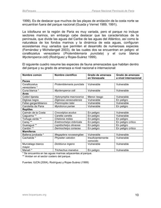 BioParques                                               Parque Nacional Península de Paria


1999). Es de destacar que muchos de las playas de anidación de la costa norte se
encuentran fuera del parque nacional (Guada y Vernet 1989, 1991).

La ictiofauna en la región de Paria es muy variada, pero el parque no incluye
sectores marinos, sin embargo cabe destacar que las características de la
península, que divide las aguas del Caribe de las aguas del Atlántico, así como la
naturaleza de los fondos marinos y la dinámica de esta aguas, configuran
ecosistemas muy variados que permiten el desarrollo de numerosas especies
(Fernández y Michelangeli 2003), de las cuales dos se encuentran en peligro: el
coralliozetus venezolano (Protemblemaria punctata) y el cuna blanca
Mycteroperca cidi) (Rodríguez y Rojas-Suárez 1999).

El siguiente cuadro resume las especies de fauna amenazadas que habitan dentro
del parque y su grado de amenaza a nivel nacional e internacional:

Nombre común              Nombre científico           Grado de amenaza      Grado de amenaza
                                                      en Venezuela          a nivel internacional
Peces
Coralliozetus             Protemblemaria punctata     Vulnerable            Vulnerable
venezolano *
Cuna blanca *             Mycteroperca cidi           Vulnerable            Vulnerable
Aves
Colibrí tijereta          Hylonympha macrocerca       Menor riesgo          Vulnerable
Diglosa negra             Diglossa venezuelensis      Vulnerable            En peligro
Fafao gargantiblanco      Premnoplex tatei            Vulnerable            Vulnerable
Candelita de Paria        Myioborus pariae            Vulnerable            En peligro
Reptiles
Caimán de la Costa        Crocodylus acutus           En peligro            Vulnerable
Caguama **                Caretta caretta             En peligro            Vulnerable
Tortuga verde **          Chelonia midas              En peligro            En peligro
Carey **                  Eretmochelys imbricata      En peligro            En peligro crítico
Guaraguá **               Lepidochelys olivacea       En peligro            En peligro
Cardón **                 Dermochelys coriacea        En peligro            En peligro crítico
Mamíferos
Ballena jorobada *        Megaptera novaeangliae      Vulnerable            Vulnerable
Cachalote *               Physeter catodon            Insuficientemente     Vulnerable
                                                      conocido
Murciélago blanco           Diclidurus ingens         Vulnerable            Vulnerable
mayor
Manatí *                    Trichechus manatus        En peligro            Vulnerable
* Se encuentra en las aguas marinas adyacentes al parque.
** Anidan en el sector costero del parque.

Fuentes: IUCN (2004), Rodríguez y Rojas-Suárez (1999)




www.bioparques.org                                                                            10
 