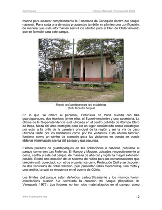 BioParques                                        Parque Nacional Península de Paria


marino para abarcar completamente la Ensenada de Cariaquito dentro del parque
nacional. Para cada una de estas propuestas también se plantea una zonificación,
de manera que esta información servirá de utilidad para el Plan de Ordenamiento
que se formule para este parque.




                       Puesto de Guardaparques de Las Melenas
                                 (Foto © Pedro Borges)

En lo que se refiere al personal, Península de Paria cuenta con tres
guardaparques, dos técnicos (entre ellos el Superintendente) y una secretaria. La
oficina de la Superintendencia está ubicada en el centro poblado de Campo Claro
de Irapa, fuera del área protegida pero en un lugar considerado como estratégico
por estar a la orilla de la carretera principal de la región y ser la vía de paso
utilizada tanto por los habitantes como por los visitantes. Esta oficina también
funciona como un centro de atención para los visitantes en donde se puede
obtener información acerca del parque y sus recursos.

Existen puestos de guardaparques en las poblaciones o caseríos próximos al
parque como son Las Melenas, El Mango y Macuro, ubicados respectivamente al
oeste, centro y este del parque, de manera de abarcar y vigilar la mayor extensión
posible. Existe una dotación de un sistema de radios para las comunicaciones que
también está conectado con otros organismos como Protección Civil y se disponen
de dos vehículos de doble tracción (que presentan fallas mecánicas), una moto y
una lancha, la cual se encuentra en el puerto de Güiria.

Los límites del parque están definidos cartográficamente y los mismos fueron
establecidos cuando fue decretada la creación del parque (República de
Venezuela 1979). Los linderos no han sido materializados en el campo, como


www.bioparques.org                                                                     12
 