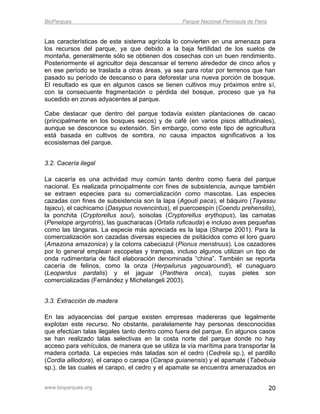 BioParques                                       Parque Nacional Península de Paria


Las características de este sistema agrícola lo convierten en una amenaza para
los recursos del parque, ya que debido a la baja fertilidad de los suelos de
montaña, generalmente sólo se obtienen dos cosechas con un buen rendimiento.
Posteriormente el agricultor deja descansar el terreno alrededor de cinco años y
en ese período se traslada a otras áreas, ya sea para rotar por terrenos que han
pasado su período de descanso o para deforestar una nueva porción de bosque.
El resultado es que en algunos casos se tienen cultivos muy próximos entre sí,
con la consecuente fragmentación o pérdida del bosque, proceso que ya ha
sucedido en zonas adyacentes al parque.

Cabe destacar que dentro del parque todavía existen plantaciones de cacao
(principalmente en los bosques secos) y de café (en varios pisos altitudinales),
aunque se desconoce su extensión. Sin embargo, como este tipo de agricultura
está basada en cultivos de sombra, no causa impactos significativos a los
ecosistemas del parque.


3.2. Cacería ilegal

La cacería es una actividad muy común tanto dentro como fuera del parque
nacional. Es realizada principalmente con fines de subsistencia, aunque también
se extraen especies para su comercialización como mascotas. Las especies
cazadas con fines de subsistencia son la lapa (Agouti paca), el báquiro (Tayassu
tajacu), el cachicamo (Dasypus novencintus), el puercoespín (Coendu prehensilis),
la ponchita (Cryptorellus soui), soisolas (Cryptorellus erythopus), las camatas
(Penelope argyrotris), las guacharacas (Ortalis ruficauda) e incluso aves pequeñas
como las tángaras. La especie más apreciada es la lapa (Sharpe 2001). Para la
comercialización son cazadas diversas especies de psitácidos como el loro guaro
(Amazona amazonica) y la cotorra cabeciazul (Pionus menstruus). Los cazadores
por lo general emplean escopetas y trampas, incluso algunos utilizan un tipo de
onda rudimentaria de fácil elaboración denominada “china”. También se reporta
cacería de felinos, como la onza (Herpailurus yagouaroundi), el cunaguaro
(Leopardus pardalis) y el jaguar (Panthera onca), cuyas pieles son
comercializadas (Fernández y Michelangeli 2003).


3.3. Extracción de madera

En las adyacencias del parque existen empresas madereras que legalmente
explotan este recurso. No obstante, paralelamente hay personas desconocidas
que efectúan talas ilegales tanto dentro como fuera del parque. En algunos casos
se han realizado talas selectivas en la costa norte del parque donde no hay
acceso para vehículos, de manera que se utiliza la vía marítima para transportar la
madera cortada. La especies más taladas son el cedro (Cedrela sp.), el pardillo
(Cordia alliodora), el carapo o carapa (Carapa guianensis) y el apamate (Tabebuia
sp.), de las cuales el carapo, el cedro y el apamate se encuentra amenazados en


www.bioparques.org                                                                    20
 