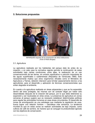 BioParques                                               Parque Nacional Península de Paria




5. Soluciones propuestas




                   INPARQUES requiere de la cooperación de otras instituciones
                                   (Foto © Pedro Borges)

5.1. Agricultura

La agricultura realizada por los habitantes del parque data de antes de su
creación, y en este caso la normativa vigente permite la continuación de estas
actividades bajo ciertas condiciones, entre ellas, la realización de un uso
conservacionista de las tierras, sin erosión significativa ni polución importante de
las aguas superficiales o subterráneas (República de Venezuela 1989). Esto
necesariamente implica que otros organismos oficiales como el Ministerio de
Agricultura y Tierras, deberán intervenir para brindar asesoramiento técnico a los
agricultores, para el desarrollo y aplicación de técnicas conservacionistas que
eviten degradar el ambiente.

En cuanto a la agricultura realizada en áreas adyacentes y que se ha expandido
dentro del área protegida, las mismas son de carácter ilegal por haber sido
desarrolladas después de la creación del parque, por lo que debe detenerse su
expansión y ser reubicadas en otras zonas. La presencia de agricultura en zonas
cercanas al parque sugiere que es necesario establecer determinadas políticas
para regular las actividades humanas en esas áreas circundantes. El desarrollo de
zonas de amortiguación es una estrategia que mediante la regulación de usos,
busca lograr una relación hombre – naturaleza más armónica. La tendencia
mundial es que en estas zonas se realicen actividades de bajo impacto, como
cultivos de café de sombra, de manera que se conjugan la productividad agrícola
con los objetivos de conservación.

www.bioparques.org                                                                            24
 
