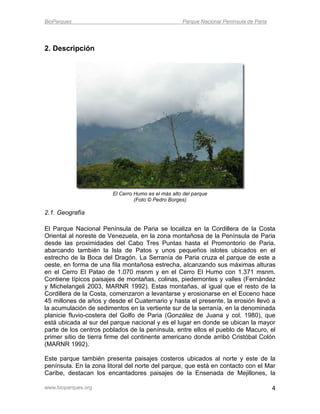 BioParques                                          Parque Nacional Península de Paria




2. Descripción




                        El Cerro Humo es el más alto del parque
                                 (Foto © Pedro Borges)

2.1. Geografía

El Parque Nacional Península de Paria se localiza en la Cordillera de la Costa
Oriental al noreste de Venezuela, en la zona montañosa de la Península de Paria
desde las proximidades del Cabo Tres Puntas hasta el Promontorio de Paria,
abarcando también la Isla de Patos y unos pequeños islotes ubicados en el
estrecho de la Boca del Dragón. La Serranía de Paria cruza el parque de este a
oeste, en forma de una fila montañosa estrecha, alcanzando sus máximas alturas
en el Cerro El Patao de 1.070 msnm y en el Cerro El Humo con 1.371 msnm.
Contiene típicos paisajes de montañas, colinas, piedemontes y valles (Fernández
y Michelangeli 2003, MARNR 1992). Estas montañas, al igual que el resto de la
Cordillera de la Costa, comenzaron a levantarse y erosionarse en el Eoceno hace
45 millones de años y desde el Cuaternario y hasta el presente, la erosión llevó a
la acumulación de sedimentos en la vertiente sur de la serranía, en la denominada
planicie fluvio-costera del Golfo de Paria (González de Juana y col. 1980), que
está ubicada al sur del parque nacional y es el lugar en donde se ubican la mayor
parte de los centros poblados de la península, entre ellos el pueblo de Macuro, el
primer sitio de tierra firme del continente americano donde arribó Cristóbal Colón
(MARNR 1992).

Este parque también presenta paisajes costeros ubicados al norte y este de la
península. En la zona litoral del norte del parque, que está en contacto con el Mar
Caribe, destacan los encantadores paisajes de la Ensenada de Mejillones, la

www.bioparques.org                                                                       4
 