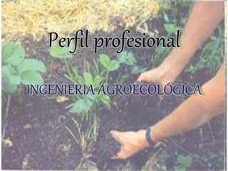 Perfil profesional
INGENIERIA AGROECOLÓGICA
 
