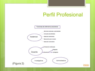 Perfil Profesional
(Figura 2)
inicio
 
