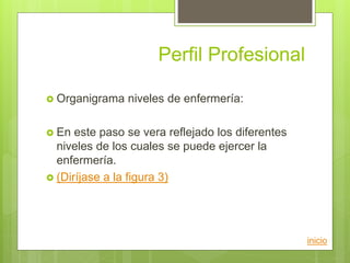 Perfil Profesional
 Organigrama niveles de enfermería:
 En este paso se vera reflejado los diferentes
niveles de los cuales se puede ejercer la
enfermería.
 (Diríjase a la figura 3)
inicio
 