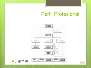 Perfil Profesional
inicio
 (Figura 3)
 