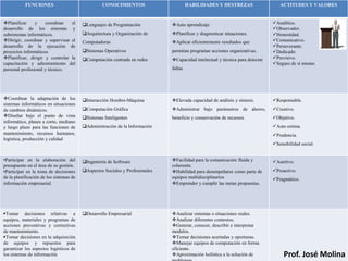 FUNCIONES                              CONOCIMIENTOS                         HABILIDADES Y DESTREZAS                   ACTITUDES Y VALORES


Planificar     y    coordinar   el      Lenguajes de Programación           Auto aprendizaje                                Analítico.
desarrollo de los sistemas y                                                                                                   Observador.
subsistemas informáticos.                Arquitectura y Organización de      Planificar y diagnosticar situaciones.          Honestidad.
Dirigir, coordinar y supervisar el      Computadoras                         Aplicar eficientemente resultados que           Comunicativo.
desarrollo de la ejecución de                                                                                                  Perseverante.
proyectos informáticos.                  Sistemas Operativos                 permitan programar acciones organizativas.       Dedicado.
Planificar, dirigir y controlar la      Computación centrada en redes       Capacidad intelectual y técnica para detectar   Previsivo.
capacitación y adiestramiento del                                                                                              Seguro de sí mismo.
personal profesional y técnico.                                               fallas.




Coordinar la adaptación de los          Interacción Hombre-Máquina          Elevada capacidad de análisis y síntesis.       Responsable.
sistemas informáticos en situaciones
de cambios dinámicos.                    Computación Gráfica                 Administrar bajo parámetros de ahorro,          Creativo.
Diseñar bajo el punto de vista          Sistemas Inteligentes               beneficio y conservación de recursos.            Objetivo.
informático, planes a corto, mediano
y largo plazo para las funciones de      Administración de la Información                                                     Auto estima.
mantenimiento, recursos humanos,                                                                                               Prudencia.
logística, producción y calidad
                                                                                                                               Sensibilidad social.


•Participar en la elaboración del        Ingeniería de Software              Facilidad para la comunicación fluida y         Asertivo.
presupuesto en el área de su gestión.                                         coherente.
•Participar en la toma de decisiones     Aspectos Sociales y Profesionales   Habilidad para desempeñarse como parte de       Proactivo.
de la planificación de los sistemas de                                        equipos multidisciplinarios                      Pragmático.
información empresarial.                                                      Emprender y cumplir las metas propuestas.




Tomar decisiones relativas a            Desarrollo Empresarial              Analizar sistemas o situaciones reales.
equipos, materiales y programas de                                            Analizar diferentes contextos.
acciones preventivas y correctivas                                            Generar, conocer, describir e interpretar
de mantenimiento.                                                             modelos.
Tomar decisiones en la adquisición                                           Tomar decisiones acertadas y oportunas.
de equipos y repuestos para                                                   Manejar equipos de computación en forma
garantizar los aspectos logísticos de                                         eficiente.
los sistemas de información                                                   Aproximación holística a la solución de              Prof. José Molina
 