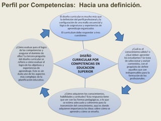 Perfil por Competencias: Hacia una definición.
 
