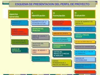 ESQUEMA DE PRESENTACION DEL PERFIL DE PROYECTO
NOMBRE DEL
PROYECTO
UNIDAD
FORMULADORA Y
UNIDAD EJECUTORA
PARTICIPACIÓN DE
LOS BENEFICIARIOS
DIAGNÓSTICO DE LA
SITUACIÓN ACTUAL
DEFINICIÓN DEL
PROBLEMA
ALTERNATIVAS DE
SOLUCIÓN
OBJETIVOS DEL
PROYECTO
ANÁLISIS DE DEMANDA
ANÁLISIS DE OFERTA
BALANCE DEMANDA
OFERTA OPTIMIZADA
HORIZONTE DE
EVALUACIÓN
COSTOS DEL
PROYECTO A PRECIOS
DE MERCADO
CRONOGRAMA DE
ACCIONES
FLUJO DE INGRESOS DEL
PROYECTO
EVALUACIÓN ECONÓMICA
A PRECIOS DE MERCADO
COSTOS A PRECIOS
SOCIALES
EVALUACIÓN SOCIAL
ANÁLISIS DE IMPACTO
AMBIENTAL
ANÁLISIS DE
SOSTENIBILIDAD
SELECCIÓN DE LA MEJOR
ALTERNATIVA
ANÁLISIS DE SENSIBILIDAD
COSTOS
INCREMENTALES A
PRECIOS DE MERCADO
MARCO LÓGICO
I
Aspectos
Generales
ARBOL DE CAUSAS Y
EFECTOS
ARBOL DE MEDIOS Y
FINES
II
Identificación
III
Formulación
IV
Evaluación
MARCO DE
REFERENCIA
 