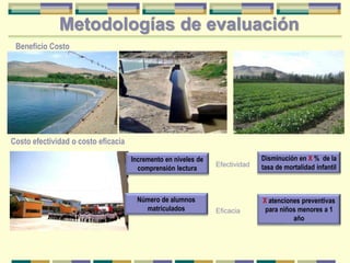 Beneficio Costo
Costo efectividad o costo eficacia
Disminución en X % de la
tasa de mortalidad infantil
X atenciones preventivas
para niños menores a 1
año
Efectividad
Eficacia
Incremento en niveles de
comprensión lectura
Número de alumnos
matriculados
Metodologías de evaluación
 
