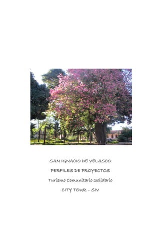SAN IGNACIO DE VELASCO
 PERFILES DE PROYECTOS
Turismo Comunitario Solidario
      CITY TOUR – SIV
 