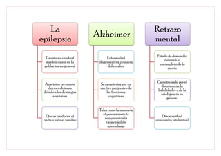 La                                               Retrazo
                           Alzheimer
epilepsia                                           mental
                                                     Estado de desarrollo
  Transtorno cerebral           Enfermedad
                                                         detenido o
  mas frecuente en la       degenerativa primaria
                                                      uncompleto de la
 poblacion en general           del cerebro
                                                            mente


                                                     Caracterizado por el
  Aparicion recurente       Se caracteriza por un
                                                       deterioro de la
   de convulciones          declive progresivo de
                                                     habilidades y de la
 debido a las descargas         las funciones
                                                       inteligencia en
      electricas                 cognitivas
                                                           general


                            Tales como la memoria
                              el pensamiento la
  Que se producen el                                   Discapasidad
                               comprencion la
 parte o todo el cerebro                            minusvalia intelectual
                                capacidad de
                                  aprendizaje
 