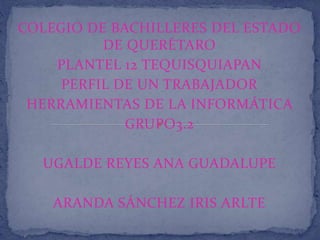 COLEGIO DE BACHILLERES DEL ESTADO
DE QUERÉTARO
PLANTEL 12 TEQUISQUIAPAN
PERFIL DE UN TRABAJADOR
HERRAMIENTAS DE LA INFORMÁTICA
GRUPO3.2
UGALDE REYES ANA GUADALUPE
ARANDA SÁNCHEZ IRIS ARLTE
 